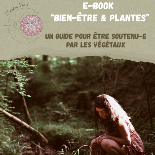 E-Book - Bien-être &amp; plantes